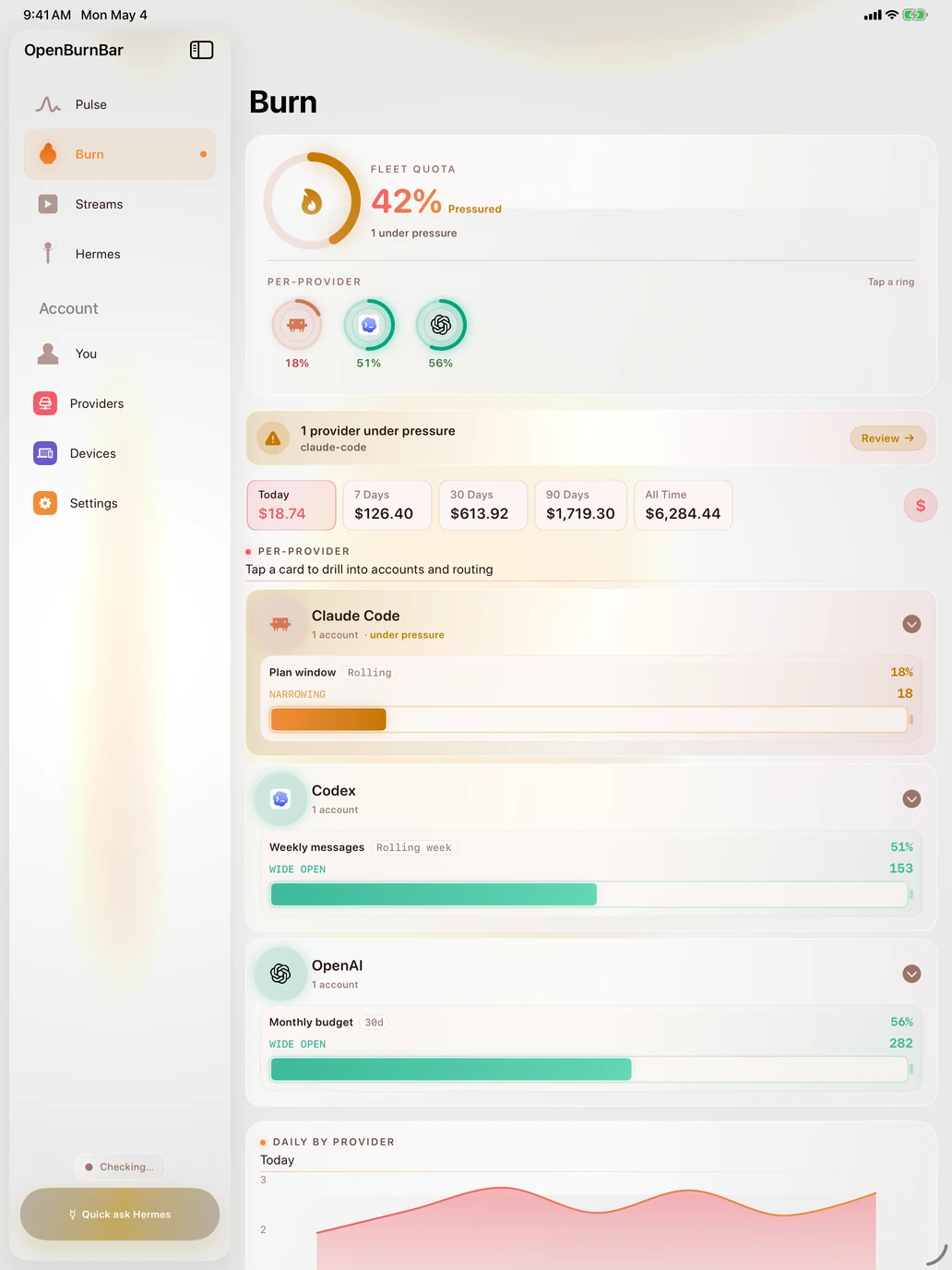 OpenBurnBar iPad app - Burn tab showing sample fleet quota, synthetic demo cost windows, and per-provider rings