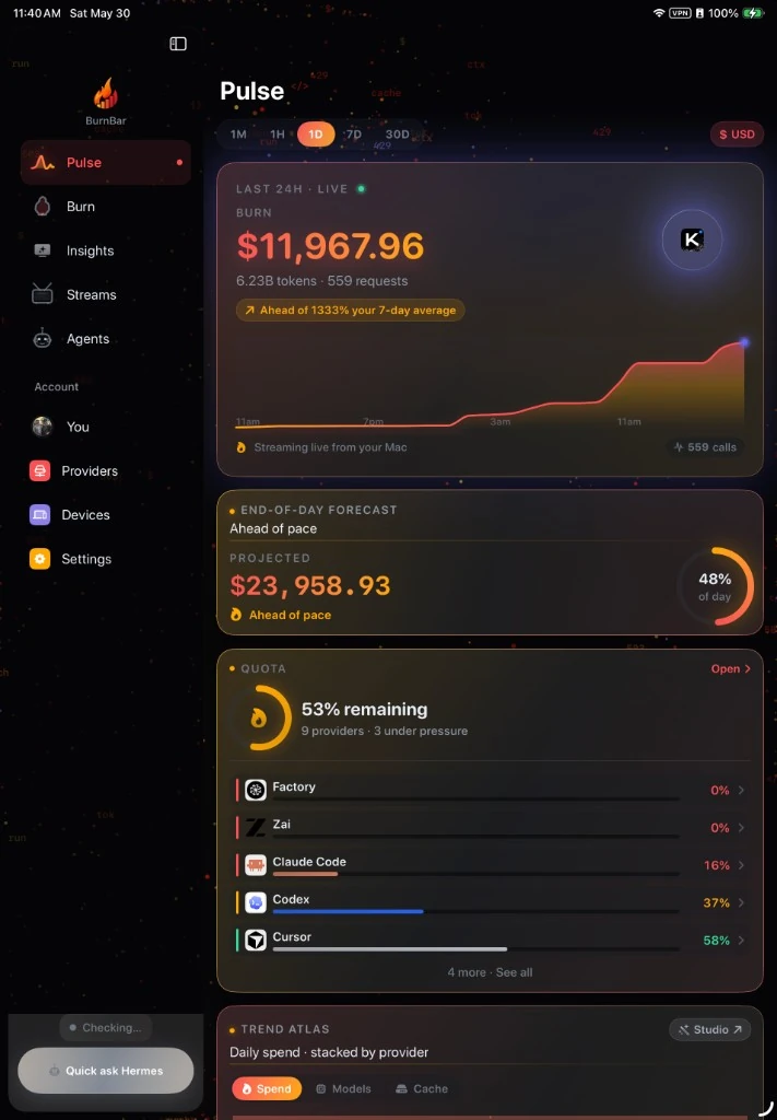 OpenBurnBar iPadOS app - Pulse tab showing synthetic demo burn, request, forecast, and quota signals