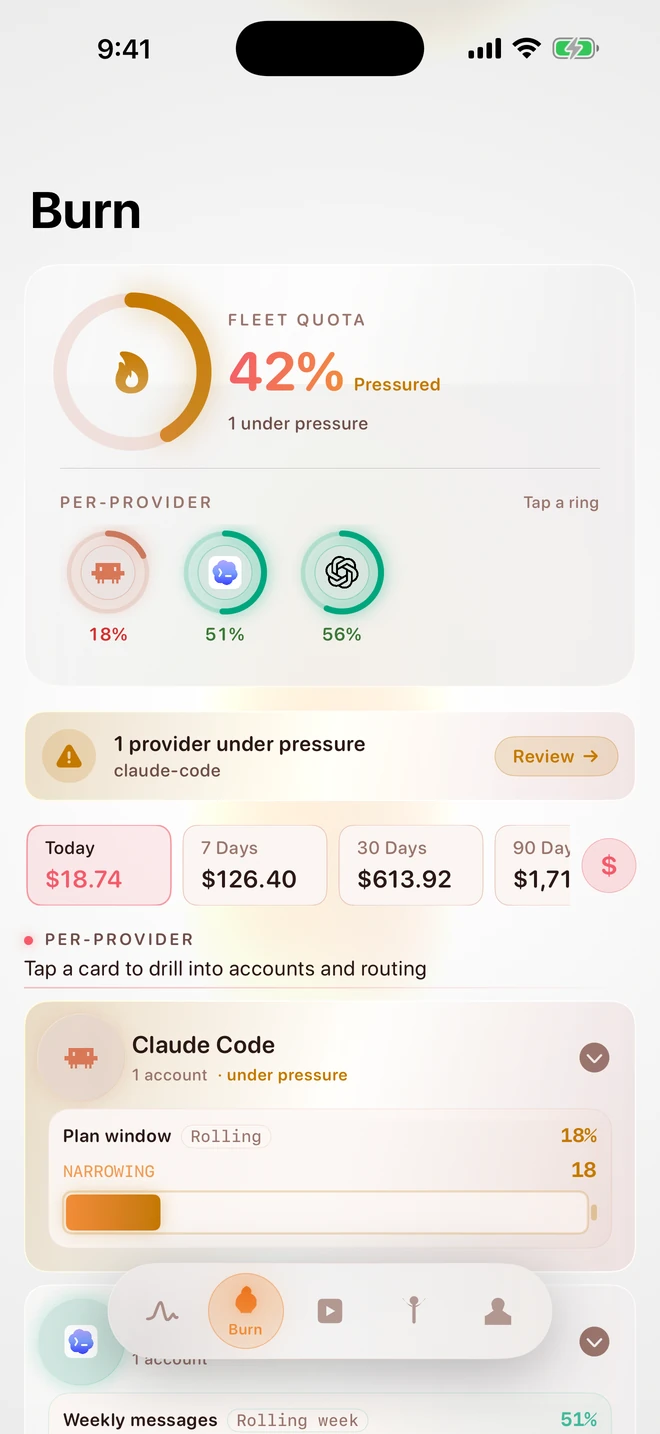 OpenBurnBar iPhone app - Burn tab showing sample fleet quota, per-provider rings, and synthetic demo cost windows